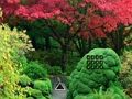 Joc Escapada al jardí de Maple Leaf  en línia
