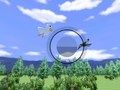 Joc Wii Sports Observació d'aus  en línia