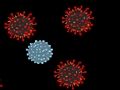 Joc Mata el virus  en línia
