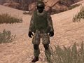 Joc Soldat de la Pàtria: Sàhara  en línia