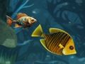 Joc Diversió infinita de peixos  en línia