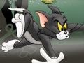 Joc Tom i Jerry Chase a Marsh  en línia