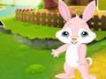 Joc Troba el Buddy Rabbit  en línia