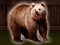 Joc Salva l'ós Grizzly  en línia