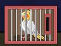 Joc Allibera l'ocell cockatiel  en línia
