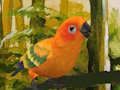 Joc Simpàtic trencaclosques Budgie  en línia