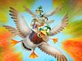 Joc Migració Flappy Duck  en línia