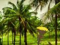 Joc Escapar de Coconut Land  en línia