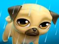 Joc La meva mascota virtual Louie the Pug en lĂnia Joc La meva mascota virtual Louie the Pug en lĂnia