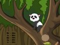 Joc Panda Jungle Escape en línia