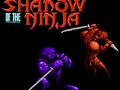 Joc L'ombra del ninja  en línia
