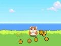 Joc Hamster Kombat Clicker en línia
