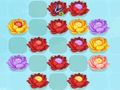 Joc Partit de flors-3  en línia