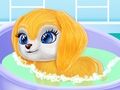 Joc Diari de vida de Baby Taylor  en línia