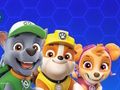 Joc Patrulla Canina  en línia