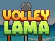 Joc Volea lama en línia