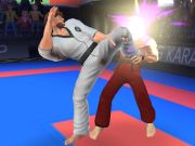 Joc Lluitador de karate  en línia