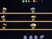 Joc Combinació de flors  en línia