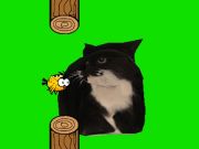 Joc Flappy Bird Spinning Oia Oia Cat en línia