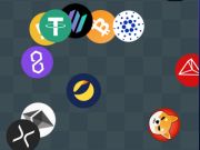Joc Finder de detectius cripto  en línia