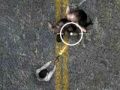Joc Carretera no morta en línia