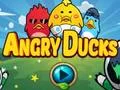 Joc Angry Ducks en línia