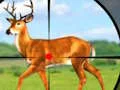 Joc Wild Hunt Hunting Games 3D en línia