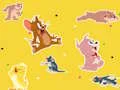 Joc The Tom and Jerry Show Find it! en línia