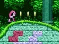Joc Mighty & Ray In Sonic 2 en línia