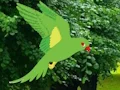 Joc Parrot Find The Nest en línia