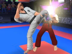 Joc Karate Fighter en línia