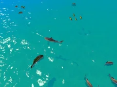 Joc Hungry Shark Hunt en línia