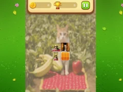 Joc Farm Cat Memory Match en línia