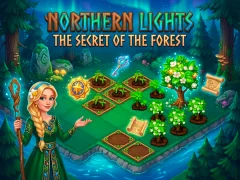 Joc Northern Lights - The Secret Of The Forest en línia