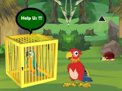 Joc Release Trapped Macaw Buddy en línia