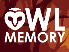 Joc Owl Memory en línia