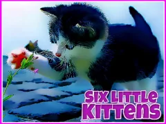 Joc Six Little Kittens en línia