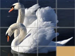 Joc Animals Slide Puzzle en línia