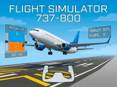 Joc Flight Simulator 737-800 en línia