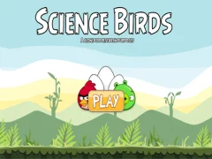 Joc Science Birds en línia