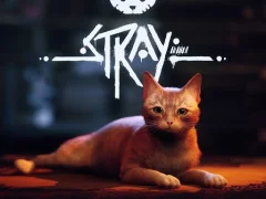 Joc Stray en línia
