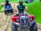 Joc Quad Bike Off Road Racing en línia