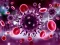 Joc Coronavirus Puzzle en línia