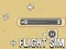 Joc Flight Sim en línia