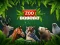 Joc ZOO Trivia en línia