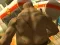 Joc Monster Simulator en línia