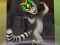 Joc King Julien: Trommel-Tanz en línia