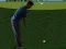 Joc Flash Golf 3D en línia