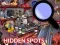 Joc Hidden Spots In The Room en línia