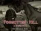 Joc Forgotten Hill Memento: Run Run little Horse en línia